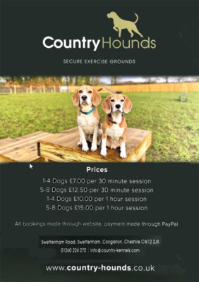 country-hounds